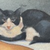 G. J. MATTHEY, "Nu au chat", huile sur toile, France, Art Déco, circa 1935 – Image 4