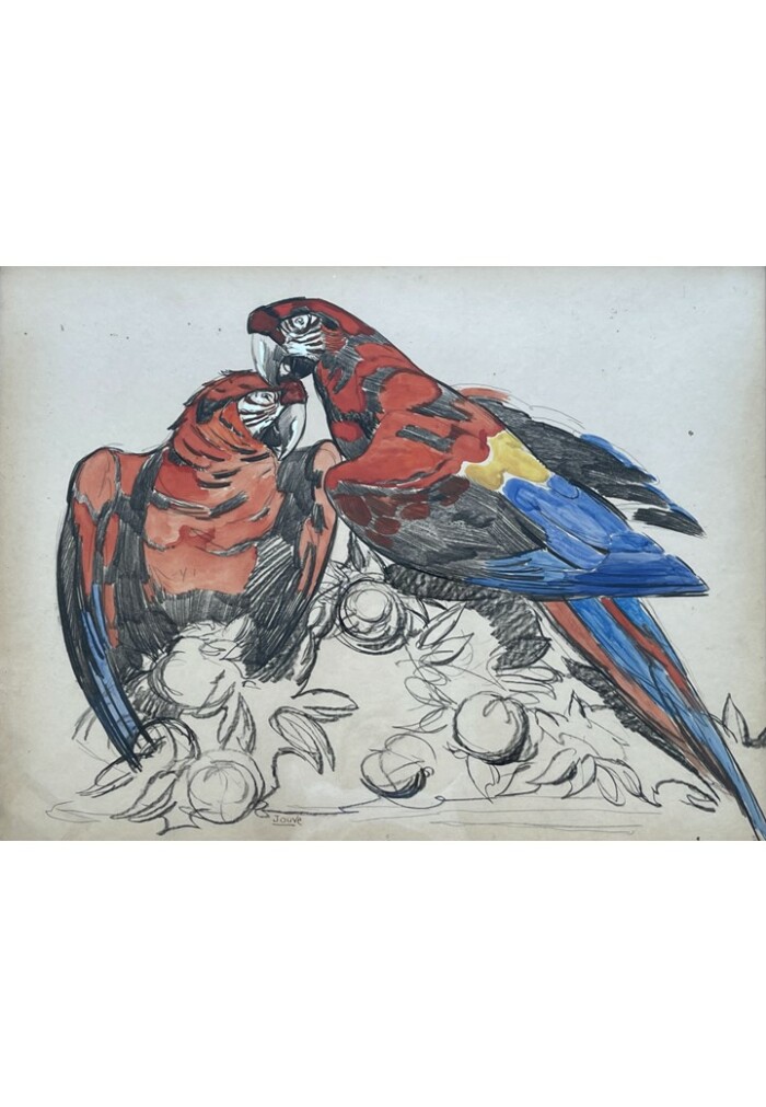 Paul JOUVE (1878 - 1973), « Deux perroquets », années 1930 – Image 3