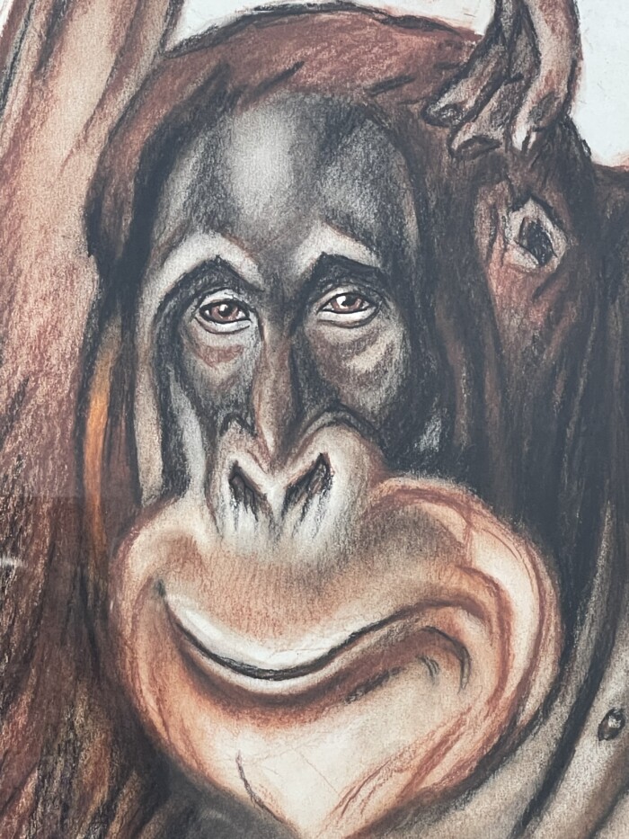 André MARGAT (1903-1999), "Orang-Outan", 1929 – Image 4